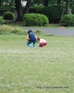 DSC_0224.JPG