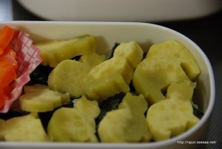 DSC_5005.JPG