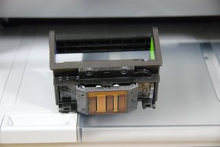 DSC_7493.JPG