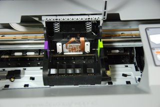 DSC_7494.JPG