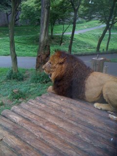 IMG_1588.JPG